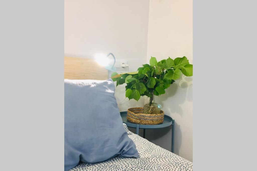 Apartamento Centro Catedral Botanico Apartment Granada Ngoại thất bức ảnh